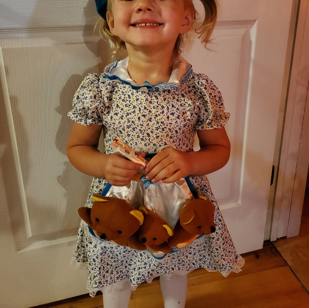 Goldilocks Costume